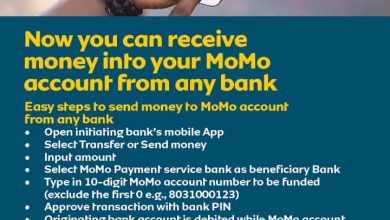 All You Need To Know About Momo Payment Services Bank
