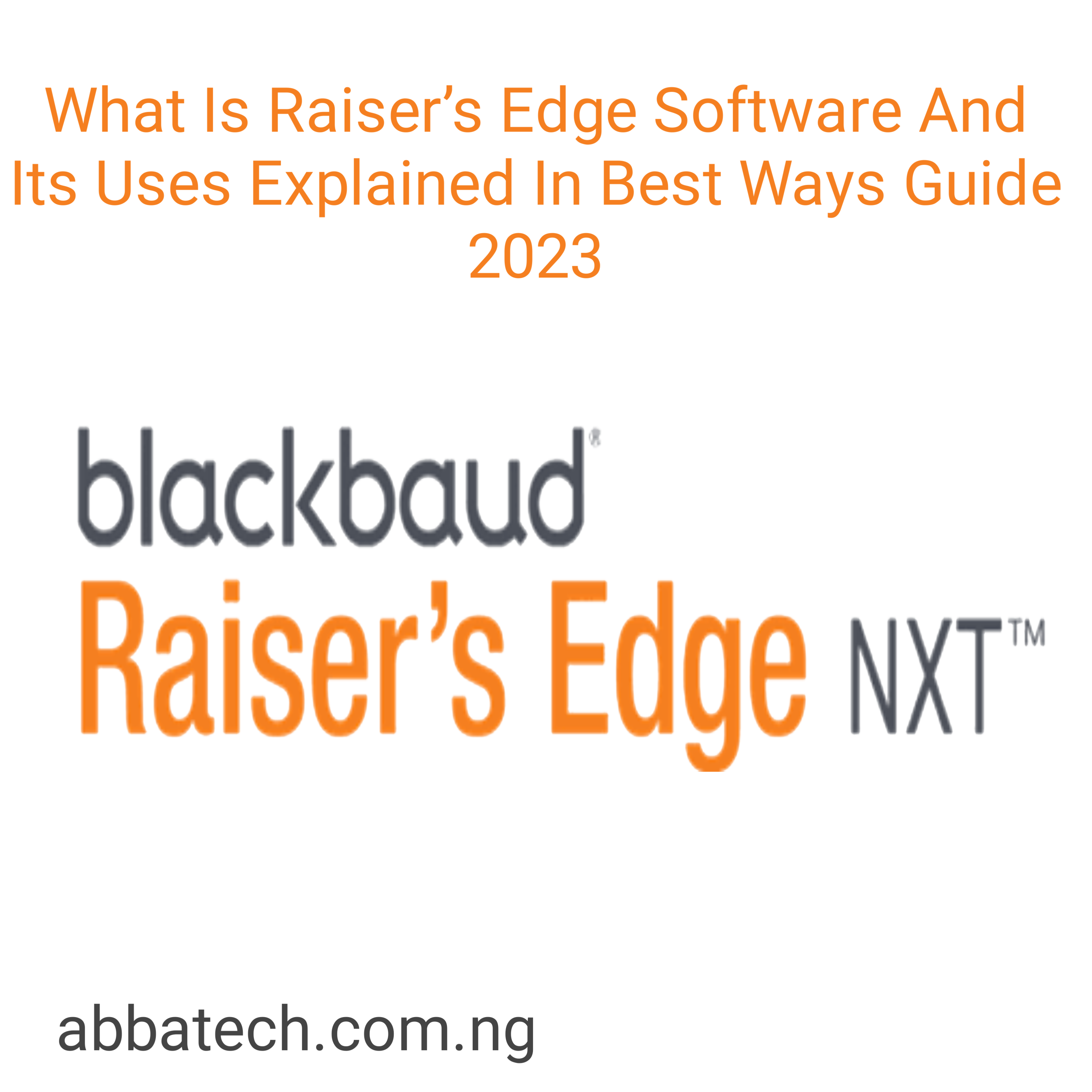 What Is Raiser's Edge Software And Its Uses Explained In Best Ways Guide 2023