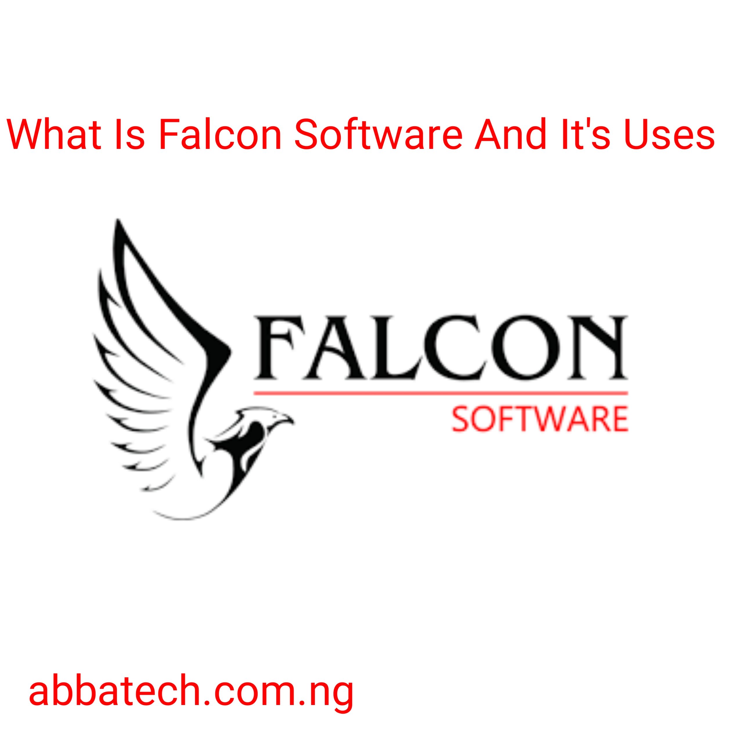 What is Falcon software And Its Uses Explained In Best Ways 2023